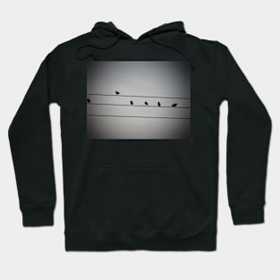 Shadow Line Hoodie